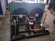 Unità di condensazione facile 380V/50Hz di conservazione frigorifera dell'installazione per la cella frigorifera dell'hotel