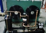Unità di condensazione ermetica di 8 HP per il medium e la conservazione frigorifera di bassa temperatura