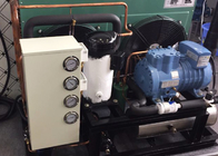 Unità di condensazione ermetica di raffreddamento a aria professionale per il refrigeratore della medicina dell'ospedale