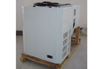 Unità di refrigerazione di HP Monoblock di conservazione frigorifera 3 per il surgelatore fissato al muro