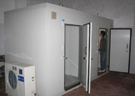 porta a livello d'acciaio di stile aperto dell'oscillazione delle porte di conservazione frigorifera di 1800mm * di 850 per l'hotel