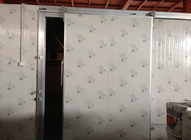Tipo automatico spessore dei portelli scorrevoli 100mm di conservazione frigorifera per cella frigorifera/singola foglia
