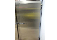Stile libero della primavera delle porte di conservazione frigorifera/tipo professionali cerniera/dell'oscillazione per il congelatore