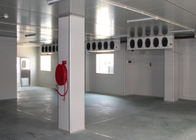 Sistema di raffreddamento per l'hotel, colore bianco della stanza di conservazione frigorifera del pannello dell'unità di elaborazione dell'isolamento