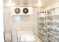 Stanza di conservazione frigorifera del compressore di Copeland per i frutti di mare della carne che elaborano una garanzia da 1 anno