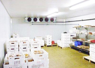 Stanza di conservazione frigorifera del compressore di Copeland per i frutti di mare della carne che elaborano una garanzia da 1 anno