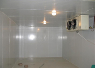 Passeggiata spaccata dell'unità nella stanza del congelatore con 2hp la dimensione a bassa temperatura 2300l * 1600w * 2400h