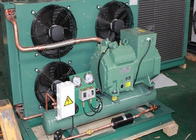 Unità di condensazione raffreddata ad aria di refrigerazione di refrigerazione con il compressore del  5HP