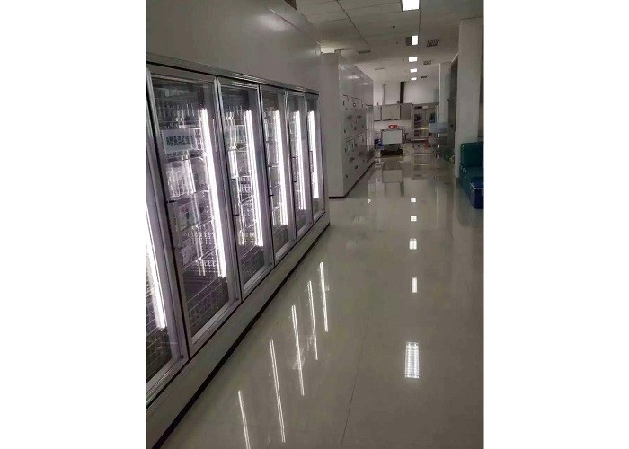 Passeggiata del supermercato nelle stanze più fredde, nel freddo e nella manutenzione facile delle stanze del congelatore