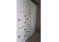 Facile installi le porte commerciali del congelatore, porte isolate spessore di 100mm per le celle frigorifere fornitore