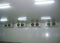 Pannello commerciale di conservazione fresco dell'unità di elaborazione di raffreddamento a aria della stanza del congelatore con ad alta intensità