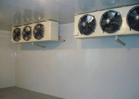 Passeggiata posteriore dell'esposizione di caricamento nella stanza del congelatore, cella frigorifera industriale leggera principale