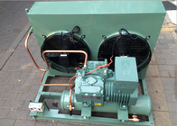 Unità di condensazione raffreddata ad aria di refrigerazione di refrigerazione con il compressore del  5HP